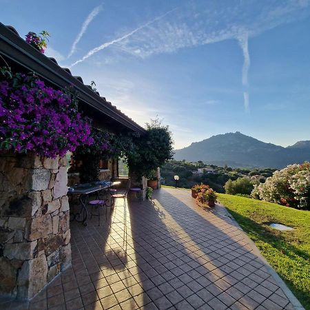 Villa Stazzu Sa Murta Cugnana Eksteriør billede